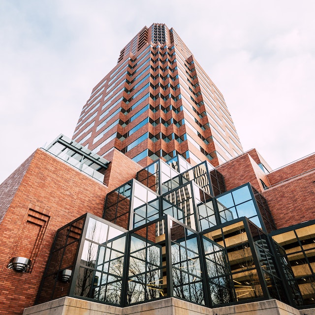 pexels brett sayles 6954292