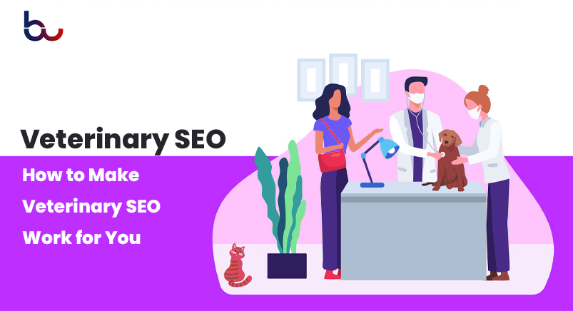 How to Make Veterinary SEO Work for You img