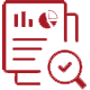 Website Audit